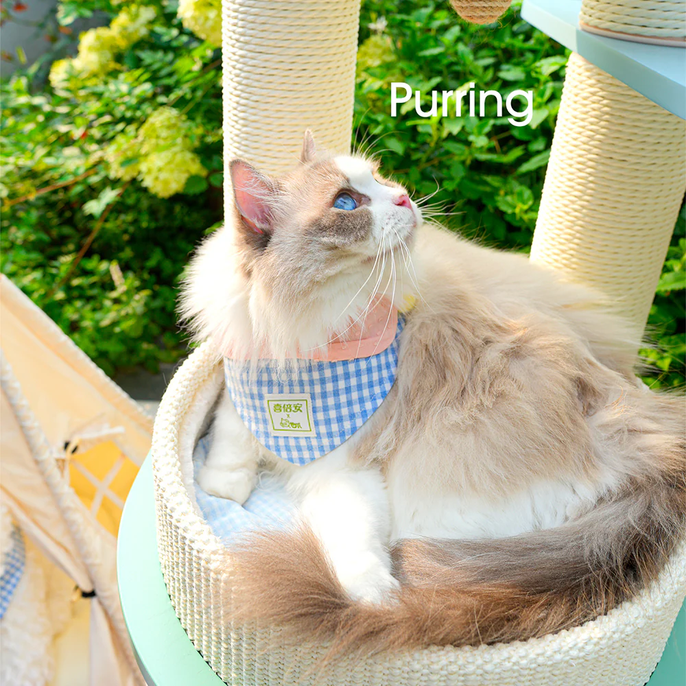 HONEYPOTCAT PURRING Multi-Tier Plush & Sisal Deluxe Cat Tree - 122cm - Macaron Edition mac182531mun - Image 7
