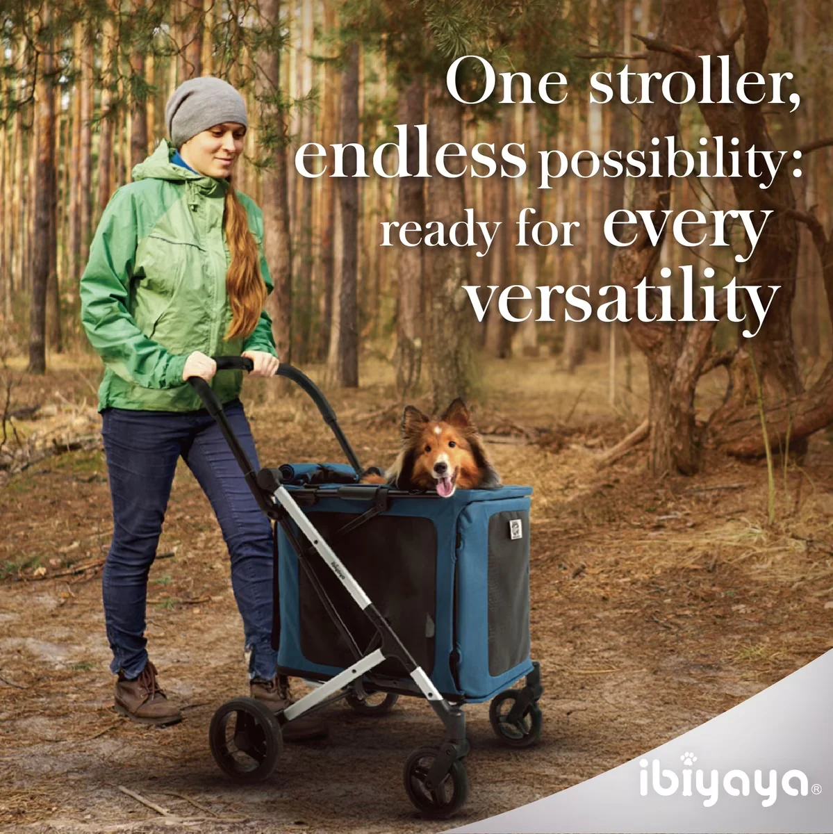 IBIYAYA Bigbuddy Stroller And Crate Combo - Image 2