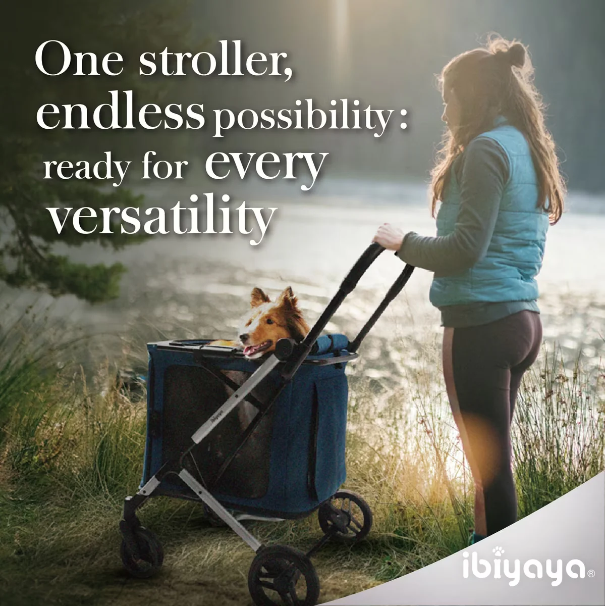 IBIYAYA Bigbuddy Stroller And Crate Combo - Image 3