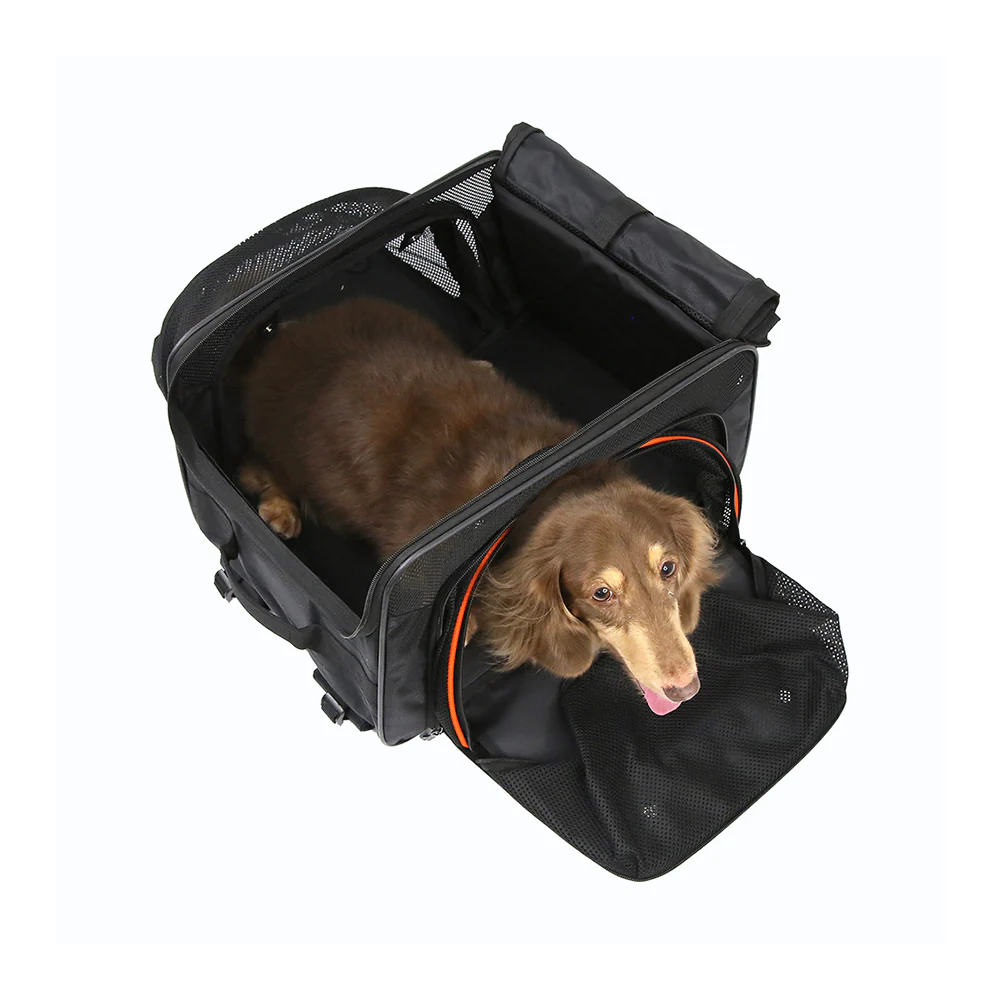 IBIYAYA JetPaw 3-IN-1 Pet Stroller with Removable Carrier - Image 11