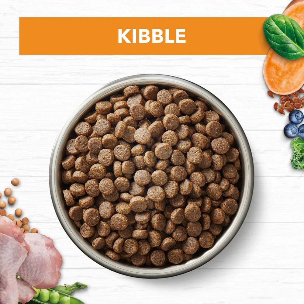 IVORY COAT Grain Free Chicken Adult Cat Food 4kg - Image 4