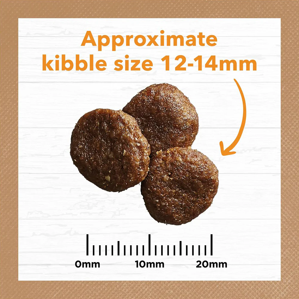 IVORY COAT Grain Free Chicken Adult Dog Food 13kg - Image 5