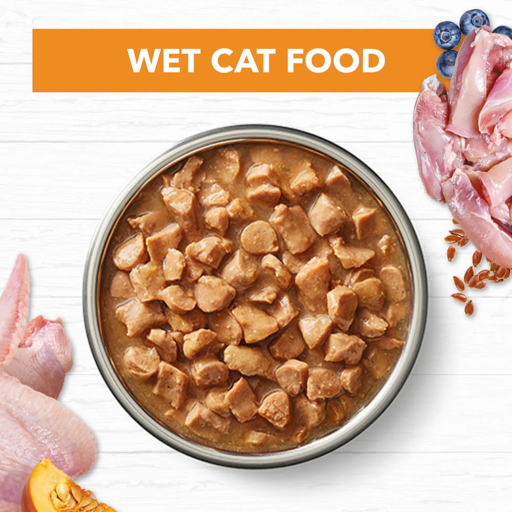 IVORY COAT Grain Free Chicken Gravy Adult Wet Cat Food 85g x 12 - Image 5