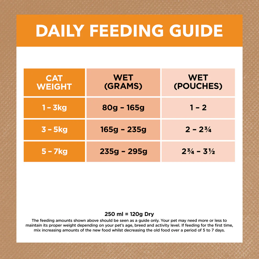 IVORY COAT Grain Free Chicken Gravy Adult Wet Cat Food 85g x 12 - Image 6
