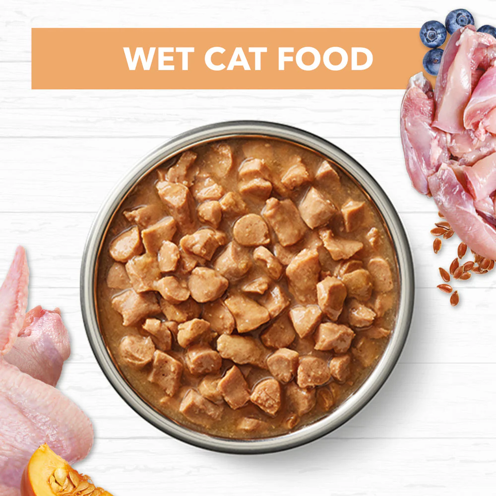 IVORY COAT Grain Free Chicken Gravy Kitten Wet Cat Food - Image 5