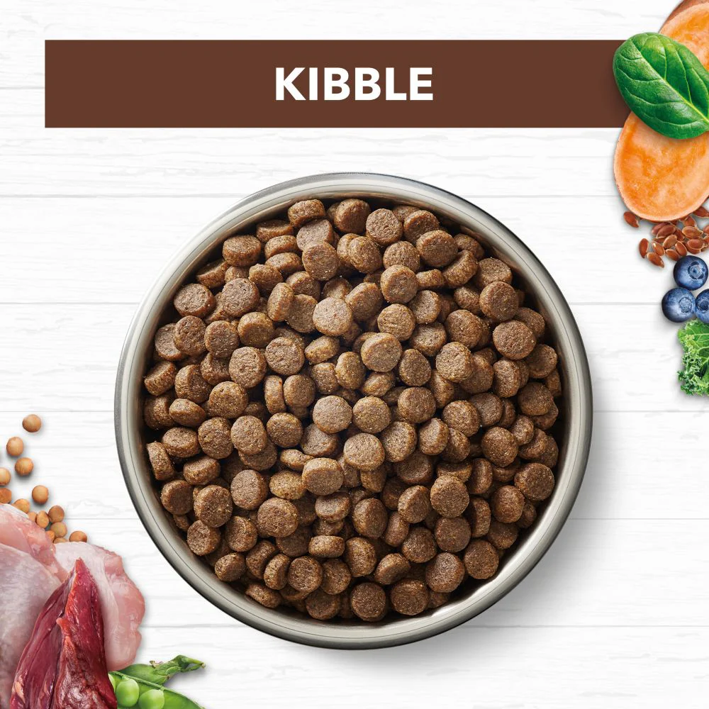 IVORY COAT Grain Free Chicken & Kangaroo Adult Cat Food 4kg - Image 4