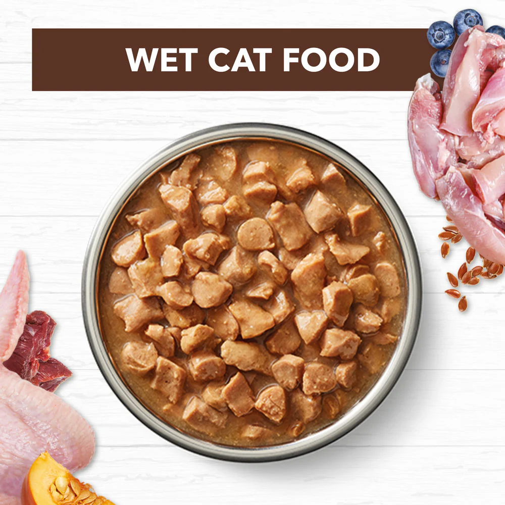 IVORY COAT Grain Free Chicken & Kangaroo Gravy Adult Wet Cat Food - Image 5