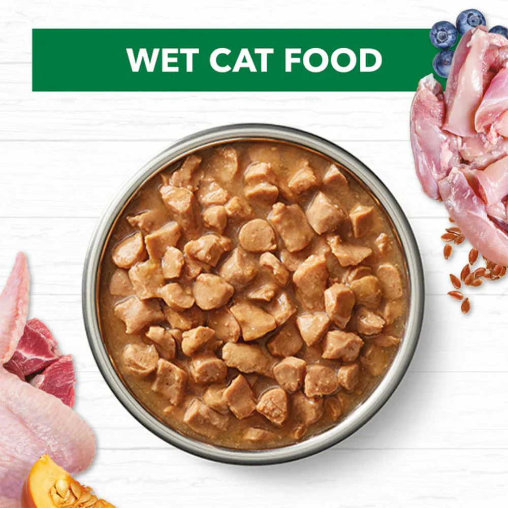 IVORY COAT Grain Free Chicken & Lamb Gravy Adult Wet Cat Food 85g x 12 - Image 2