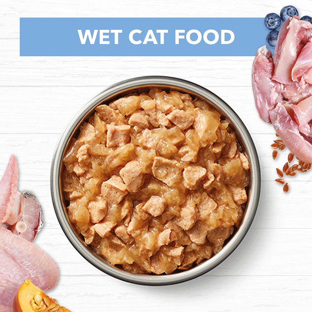 IVORY COAT Grain Free Chicken & Ocean Fish Jelly Kitten Wet Cat Food 85g x 12 - Image 4
