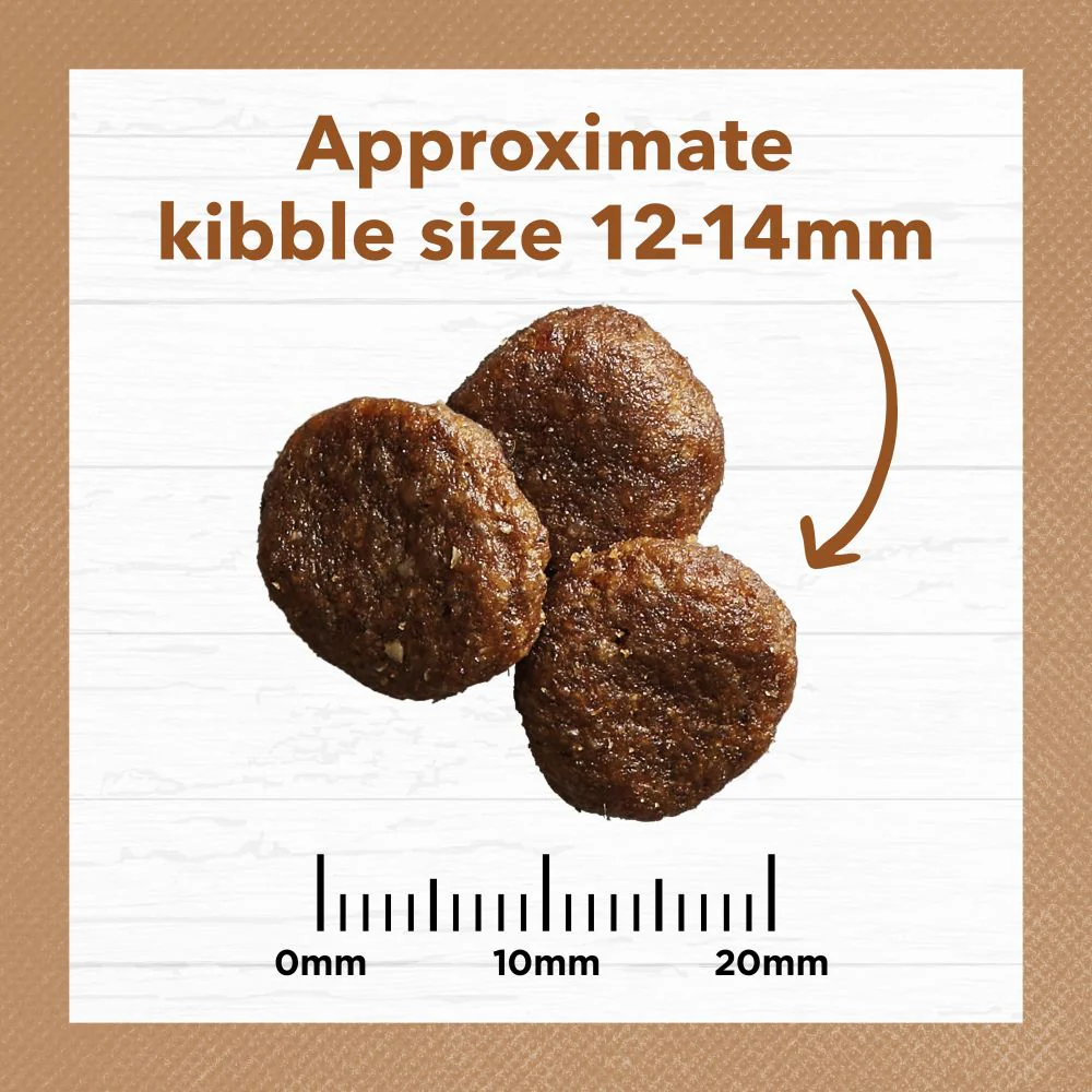 IVORY COAT Grain Free Lamb & Kangaroo Adult Dog Food 13kg - Image 6