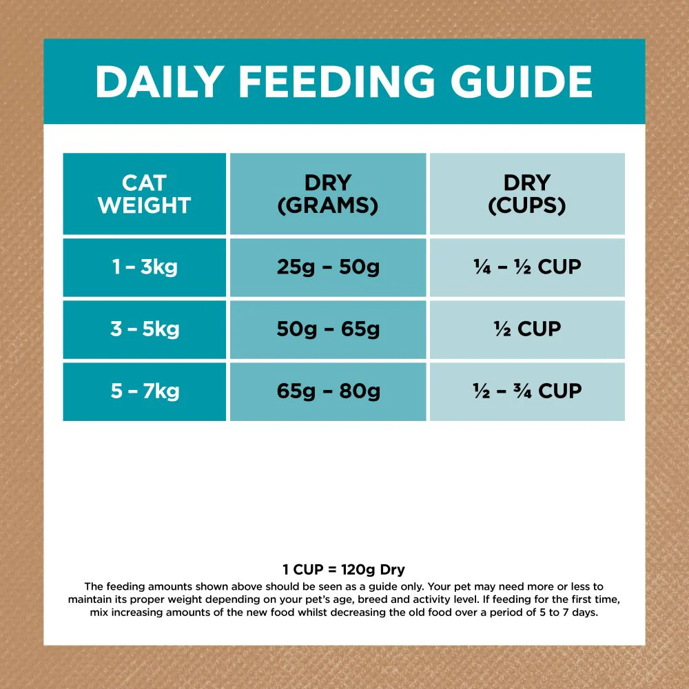 IVORY COAT Grain Free Ocean Fish & Salmon Adult Cat Food 4kg - Image 7