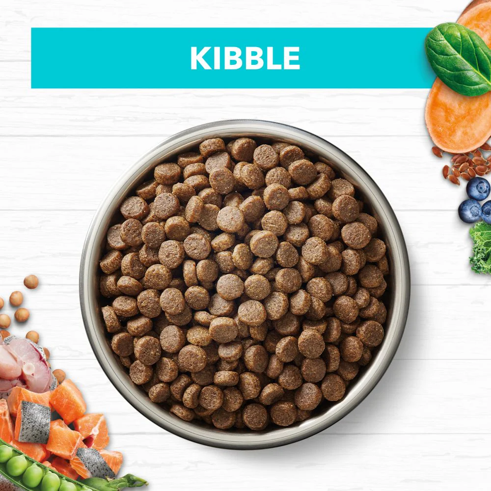 IVORY COAT Grain Free Ocean Fish & Salmon Kitten Cat Food 2kg - Image 4