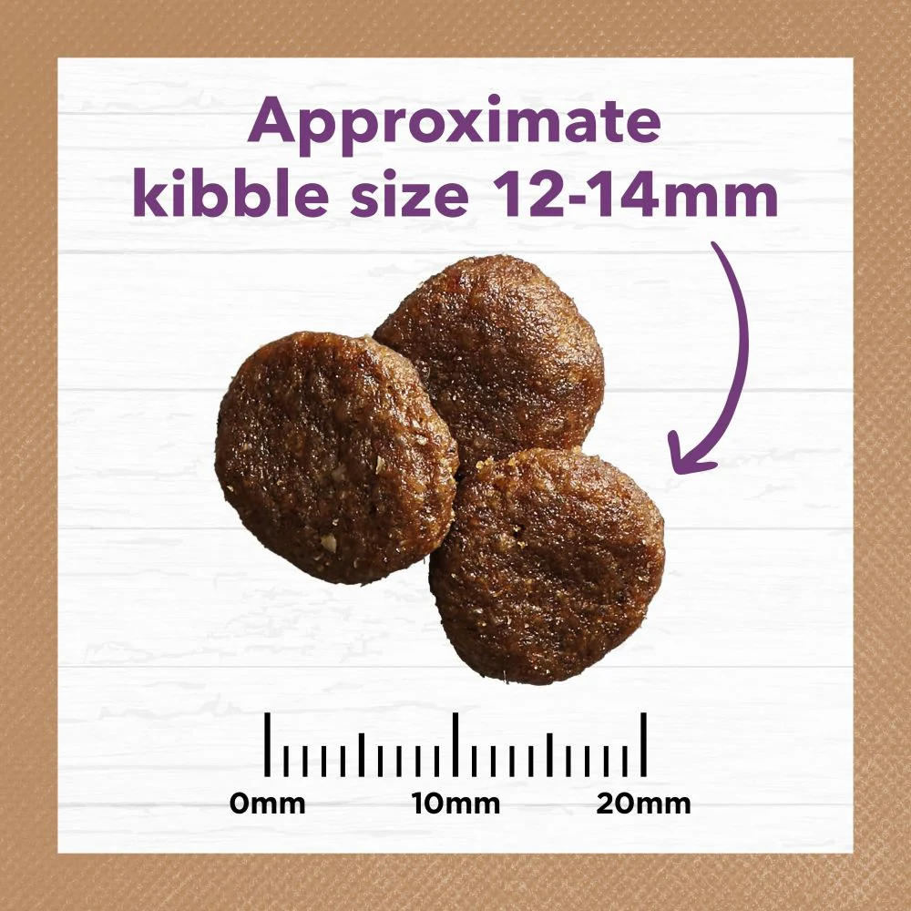IVORY COAT Grain Free Turkey Mature Dog Food 13kg - Image 5