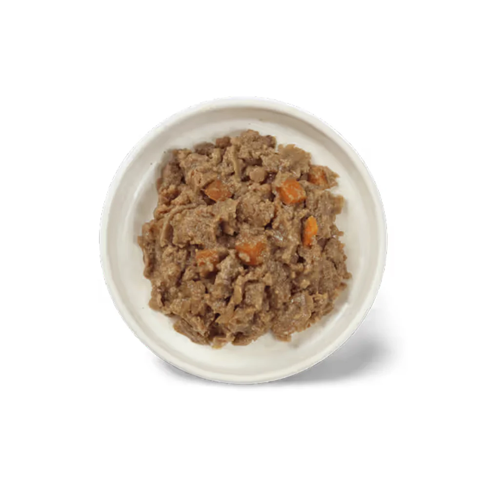 IVORY COAT Inspired By Raw Health & Vitality Wet Dog Food 100g x 9 - Image 3