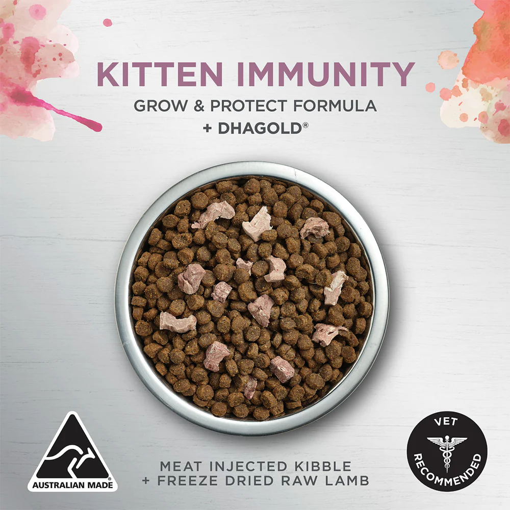 IVORY COAT Raw Health Immunity Kitten Food - Image 6