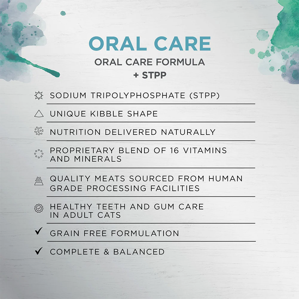 IVORY COAT Raw Health Oral Care Cat Food - Image 7
