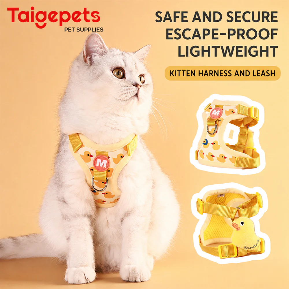 Kitten & Puppy Harness and Leash Set | Escape Proof | Adjustable | Petso - Image 5