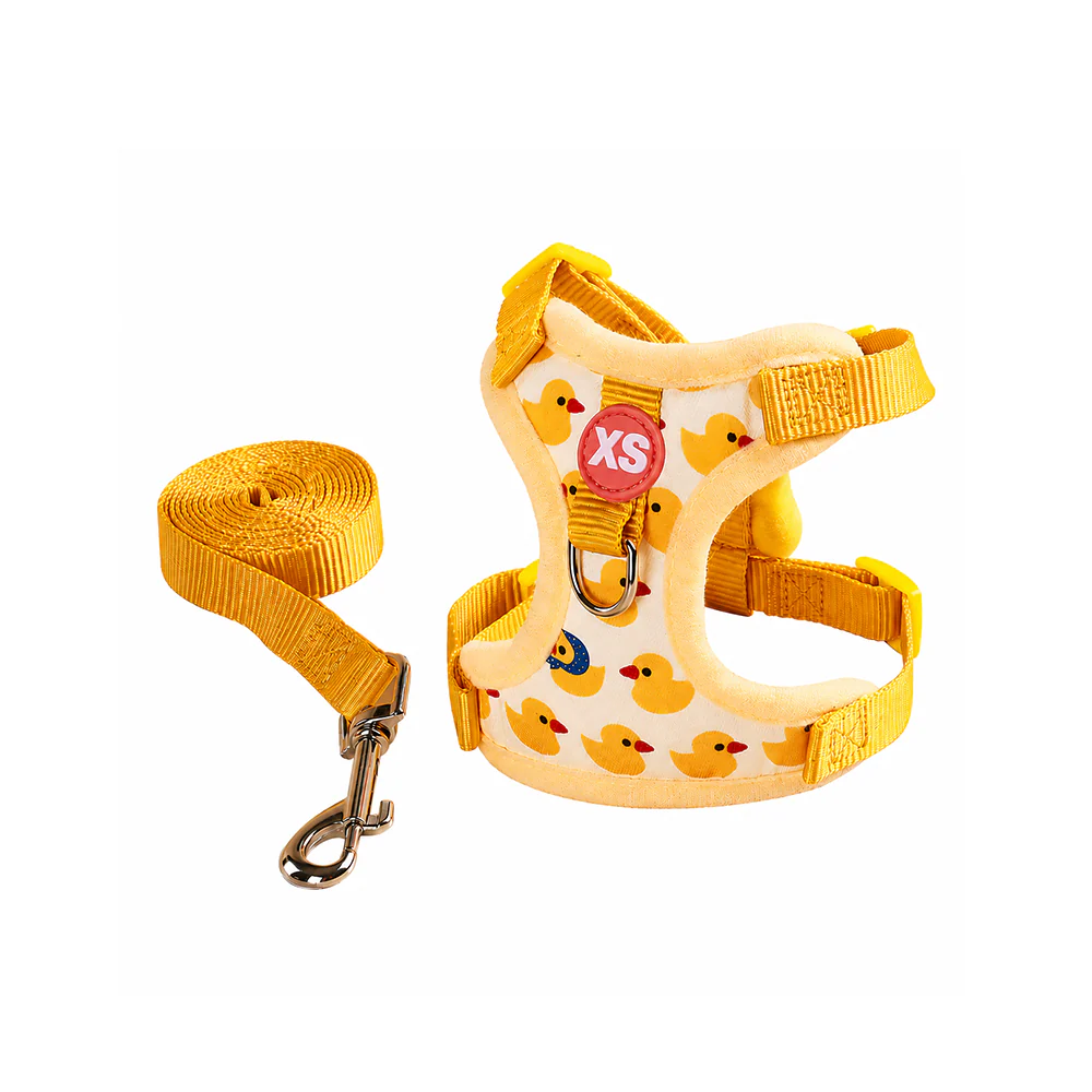 Kitten & Puppy Harness and Leash Set | Escape Proof | Adjustable | Petso - Image 8