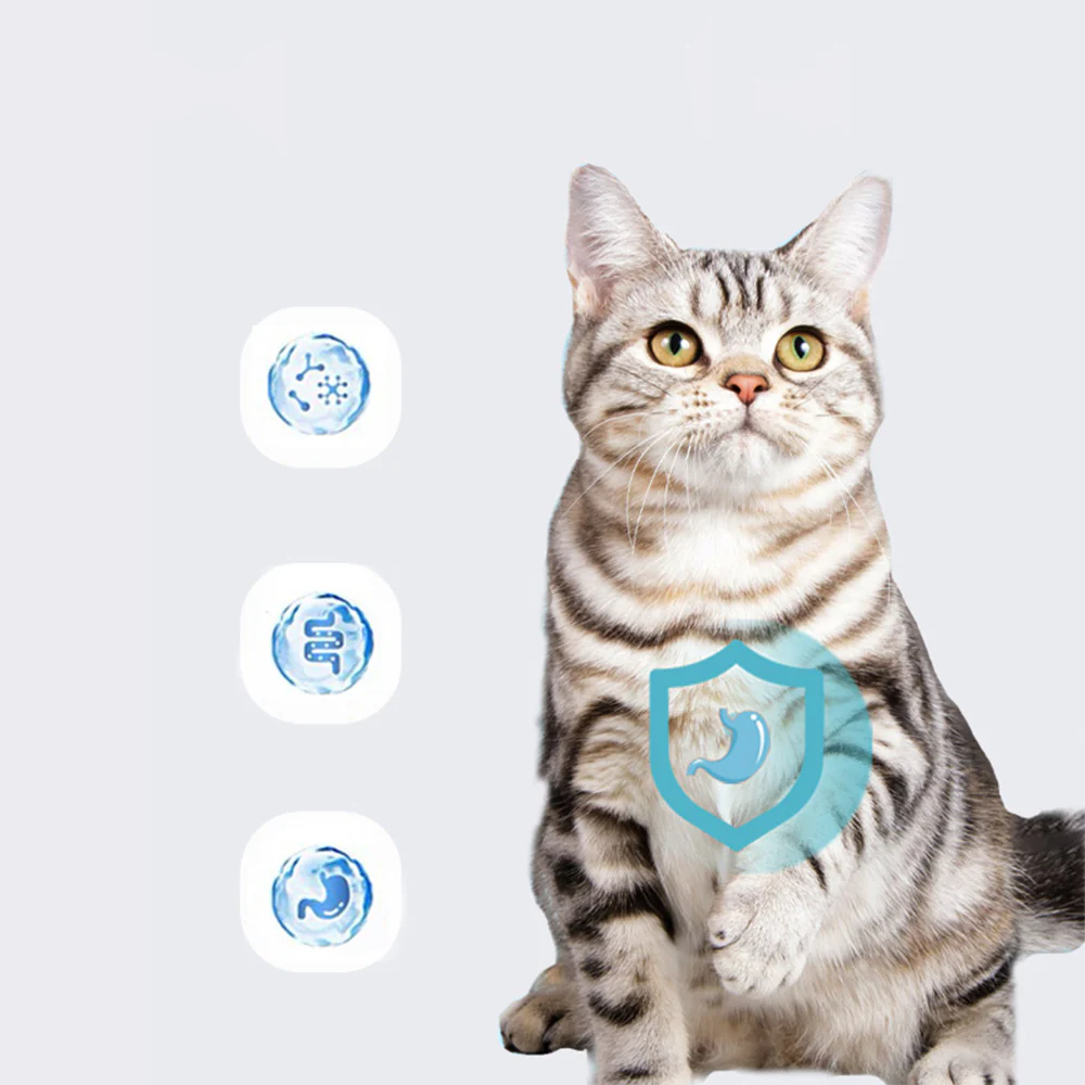 KOJIMA Cat Oral Care Kit - Image 4