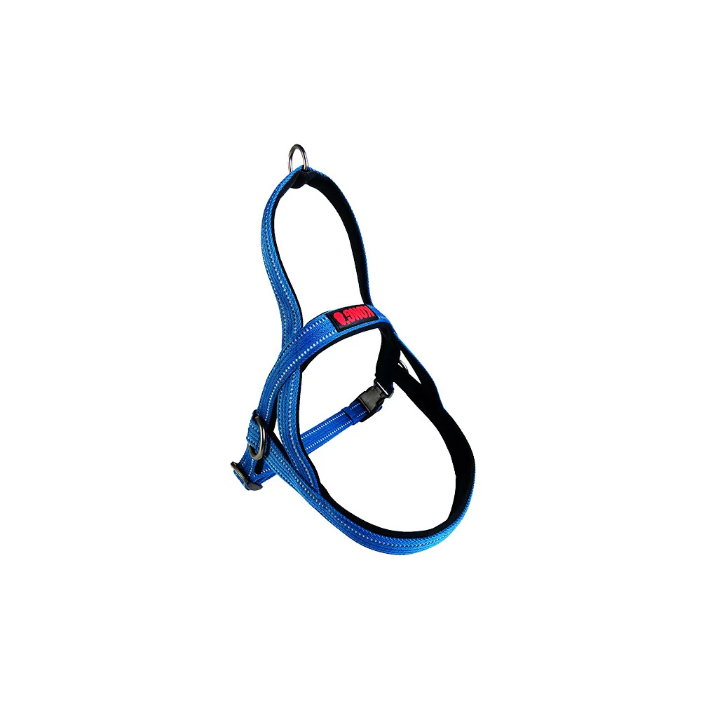 KONG Norwegian Blue Harness