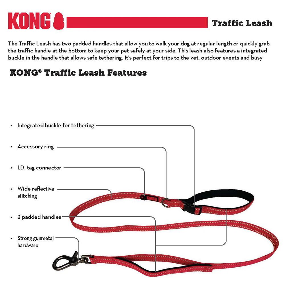 KONG Traffic Blue Leashes - Image 2