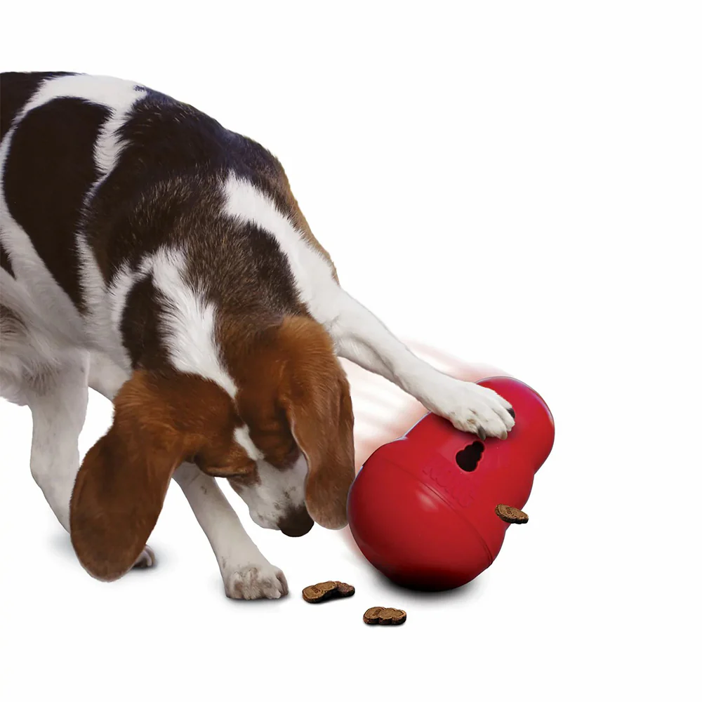 KONG Wobbler Large Dog Toy - Image 3