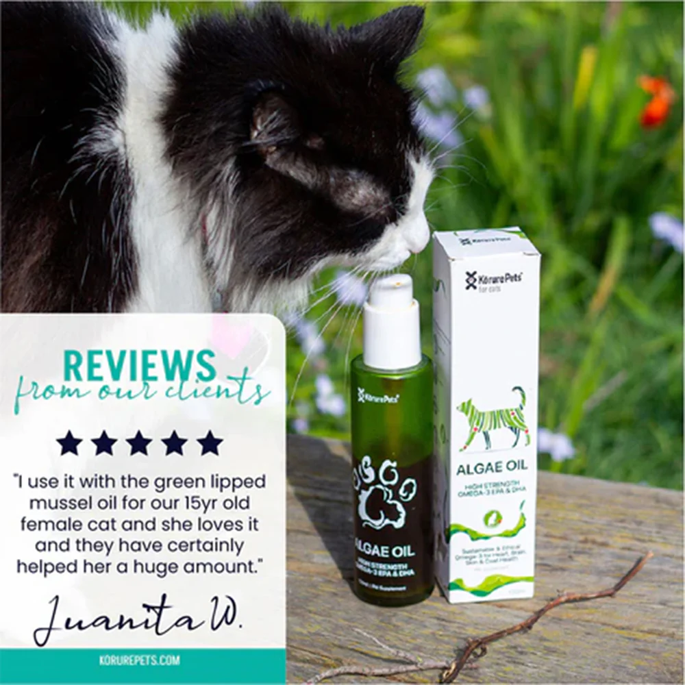 KORURE PETS Algae Oil Sustainable Omega-3 Supplement For Cats 120ml - Image 4