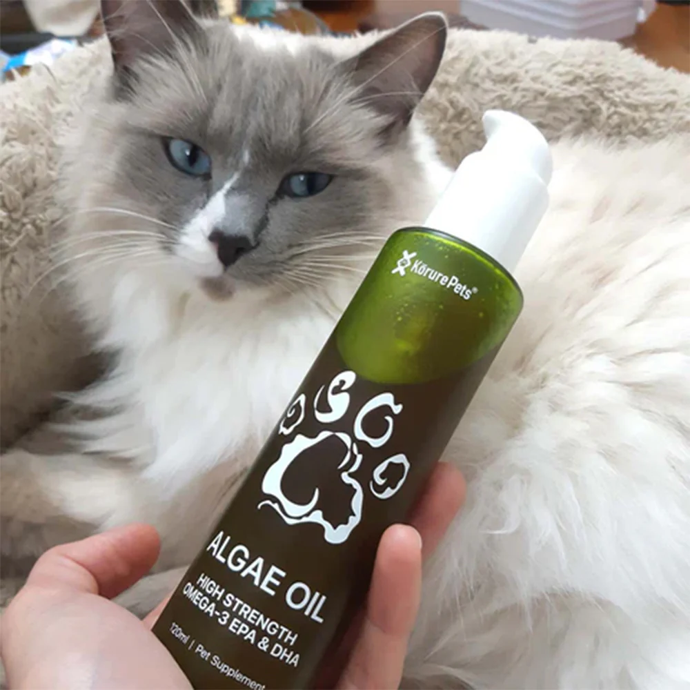 KORURE PETS Algae Oil Sustainable Omega-3 Supplement For Cats 120ml - Image 5