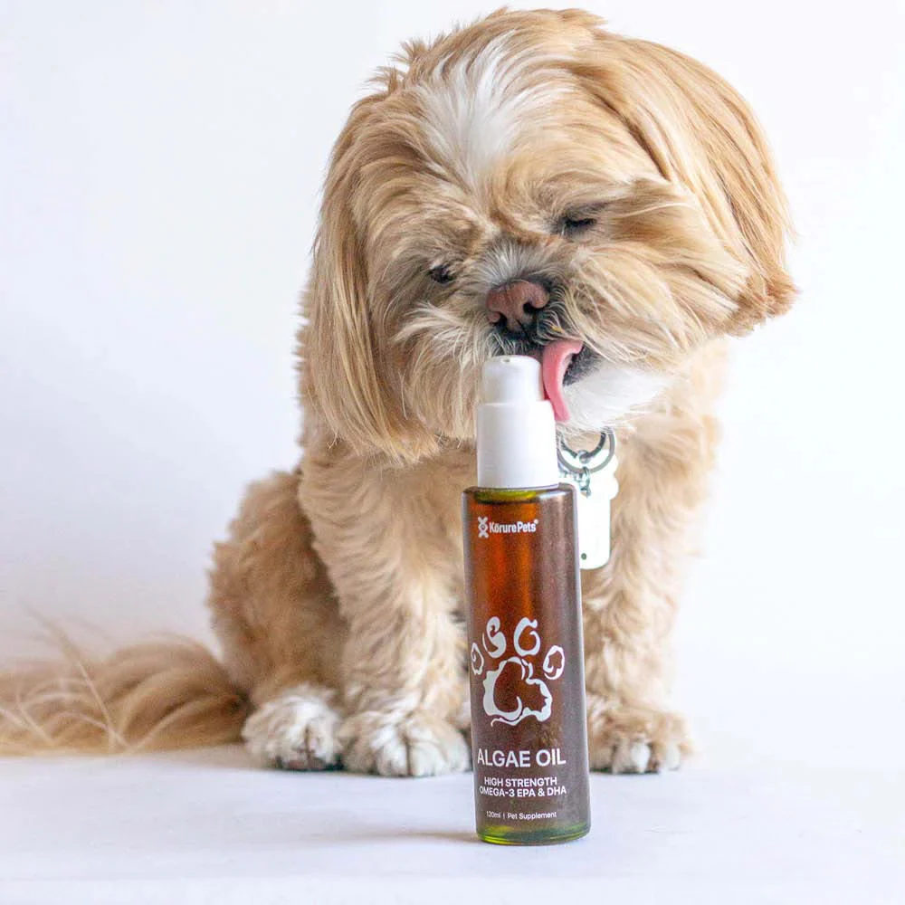 KORURE PETS Algae Oil Sustainable Omega-3 Supplement For Dogs 120ml - Image 4