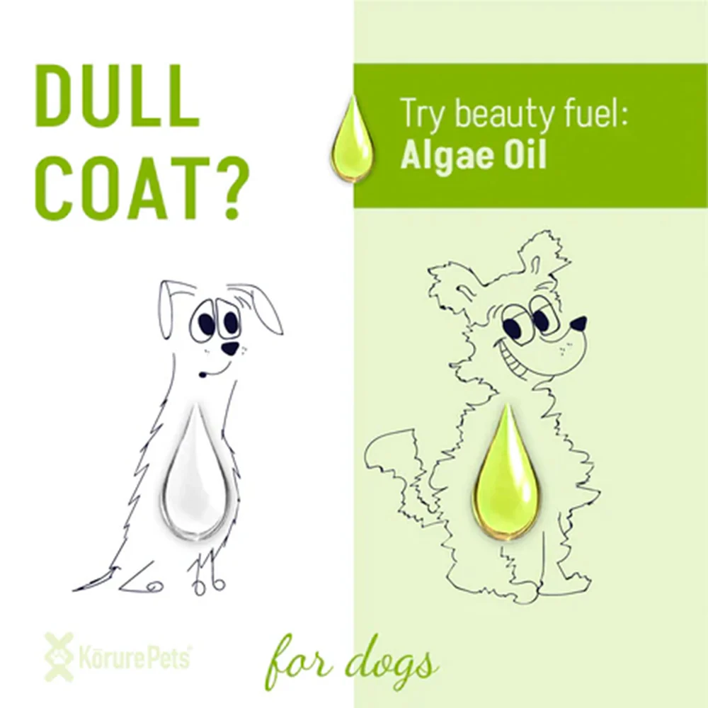 KORURE PETS Algae Oil Sustainable Omega-3 Supplement For Dogs 50ml - Image 3