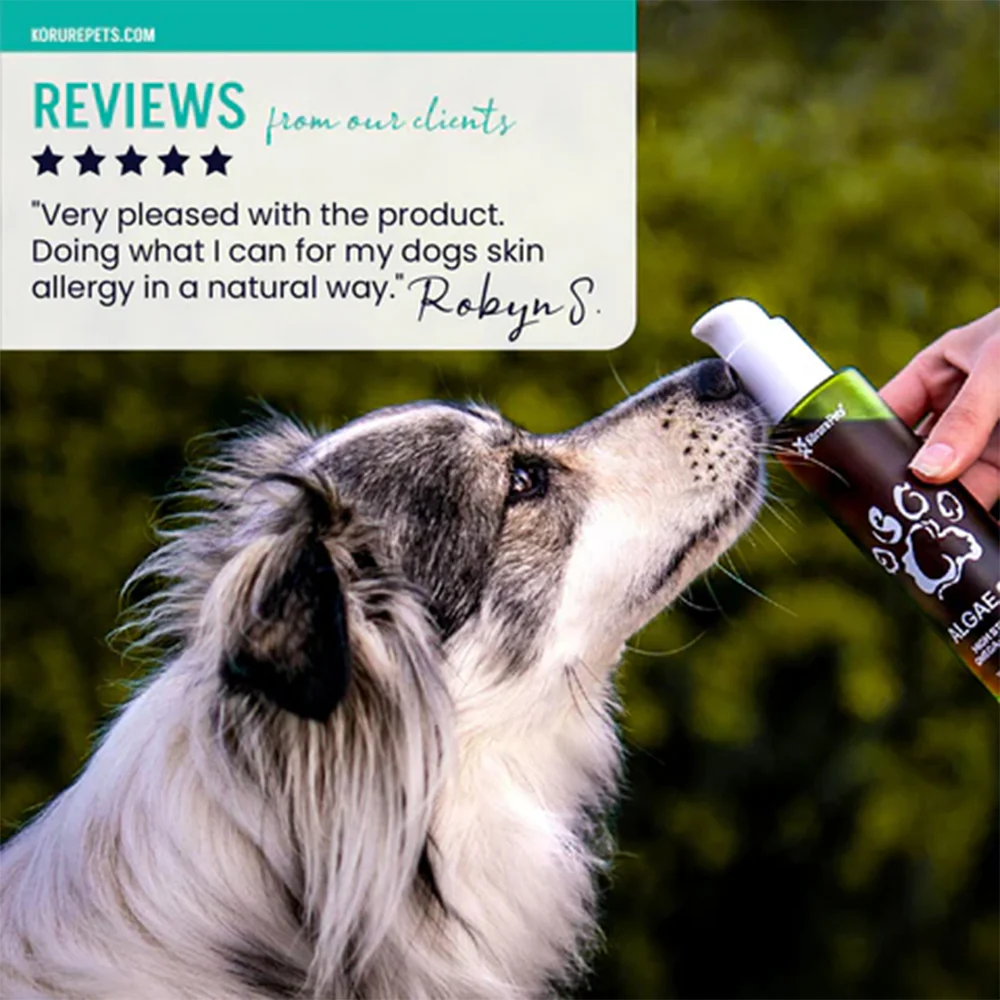 KORURE PETS Algae Oil Sustainable Omega-3 Supplement For Dogs 50ml - Image 5