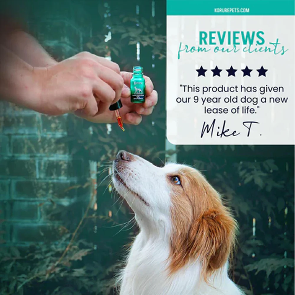 KORURE PETS Marine Phospholipid Oil Joint & Mobility Supplement For Dogs 9ml - Image 7