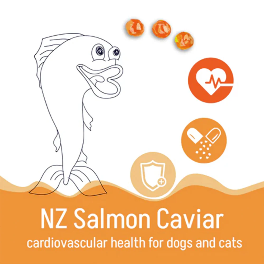 KORURE PETS NZ King Salmon Caviar Cardiovascular Health For Cats 30g - Image 2