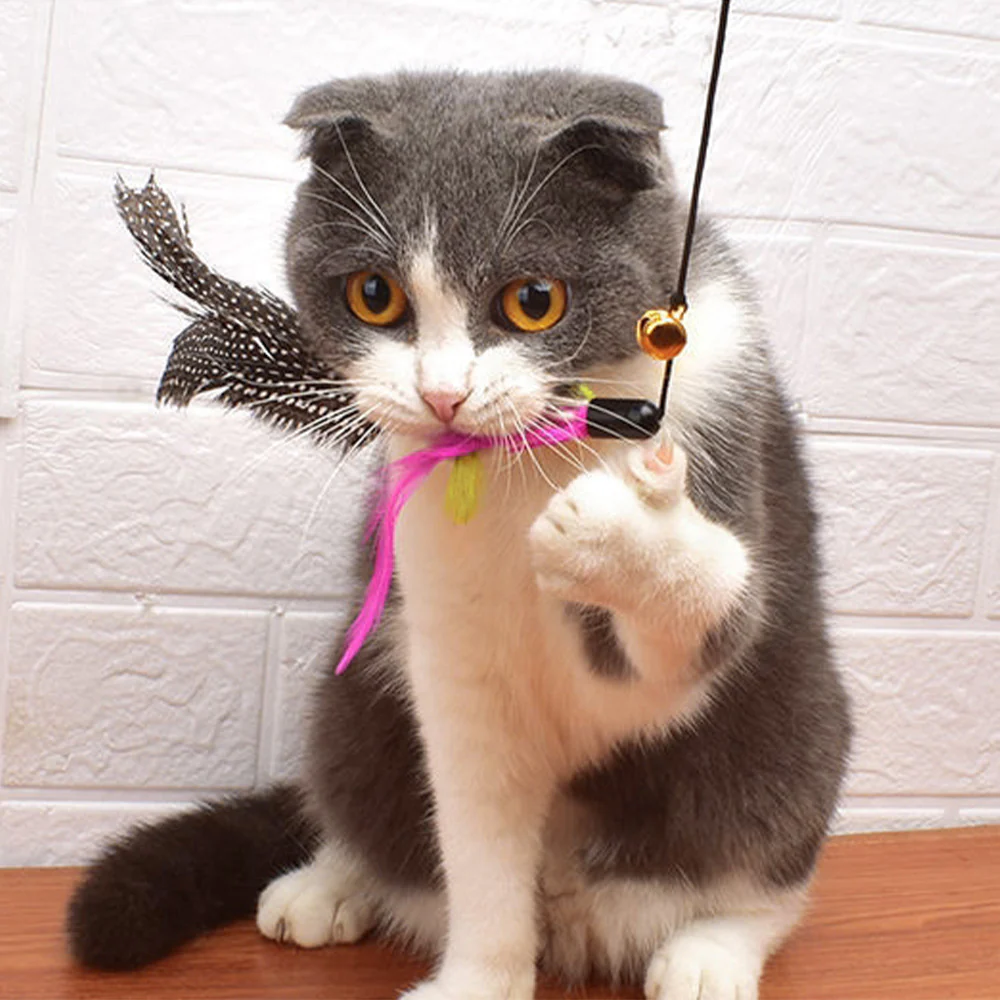 Large Bird Feather Cat Teaser Toy - Image 2