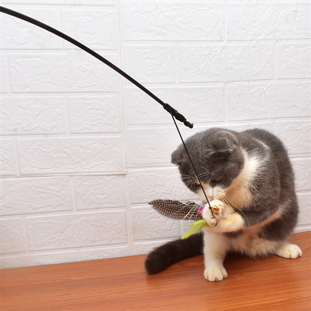 Large Bird Feather Cat Teaser Toy - Image 3