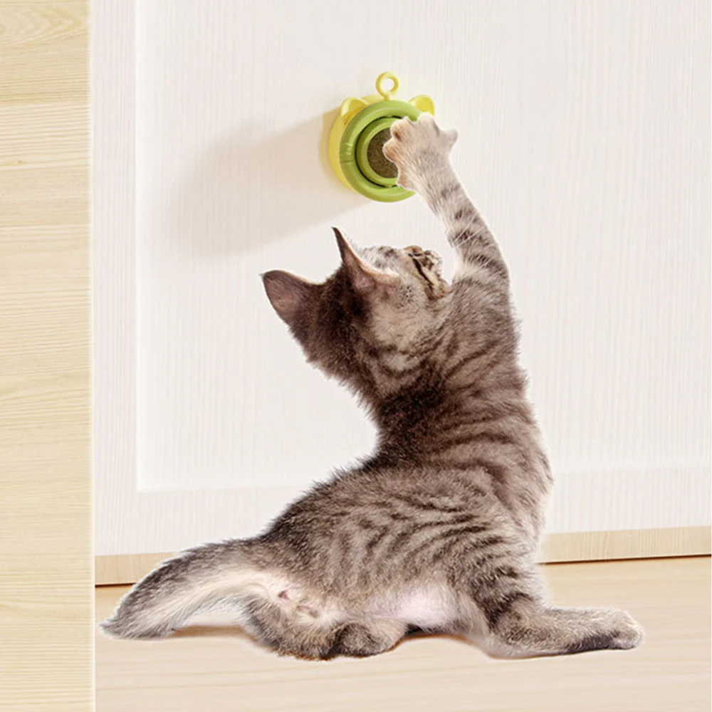 Lick Lick Rotatable Catnip Ball Cat Toy - Image 10