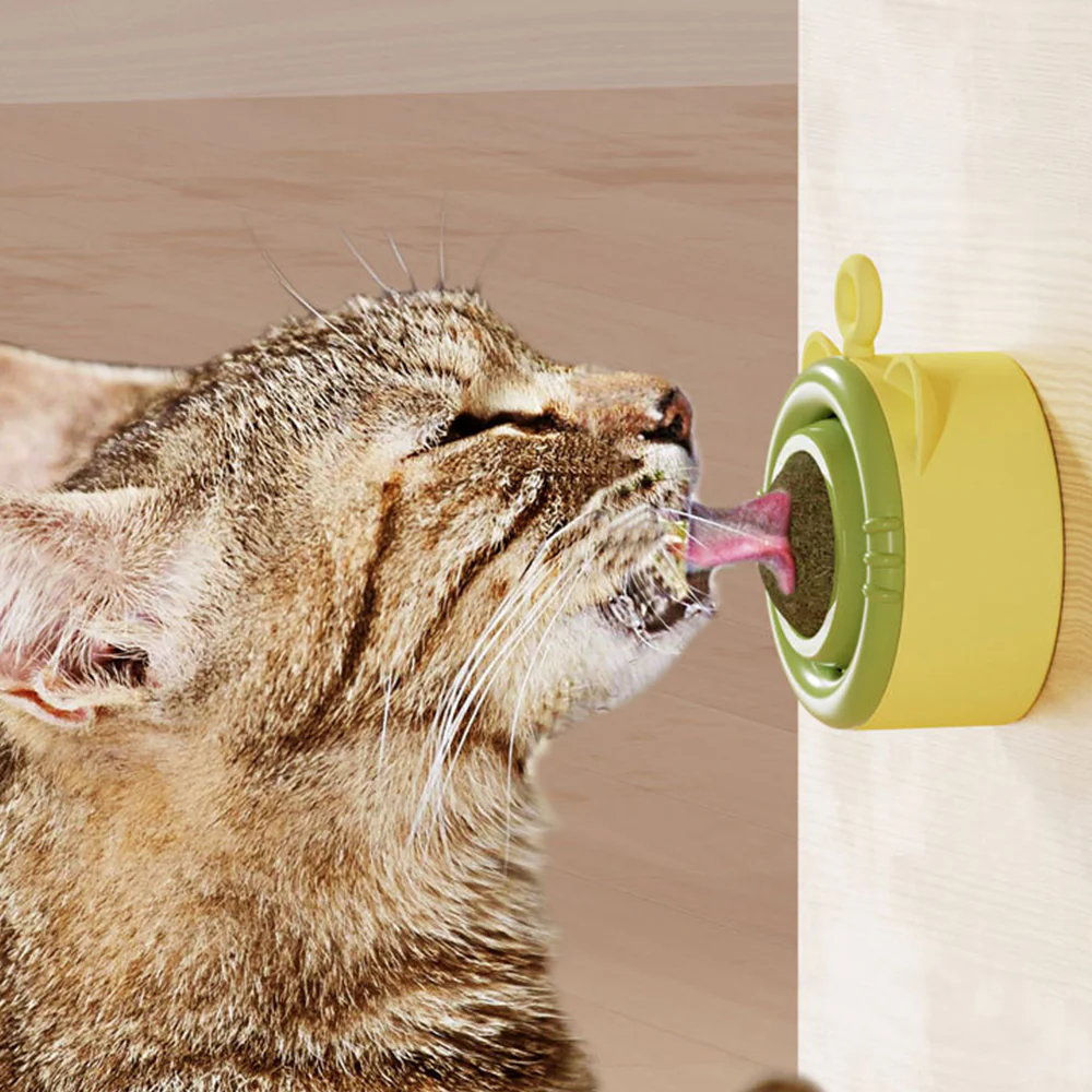 Lick Lick Rotatable Catnip Ball Cat Toy - Image 11