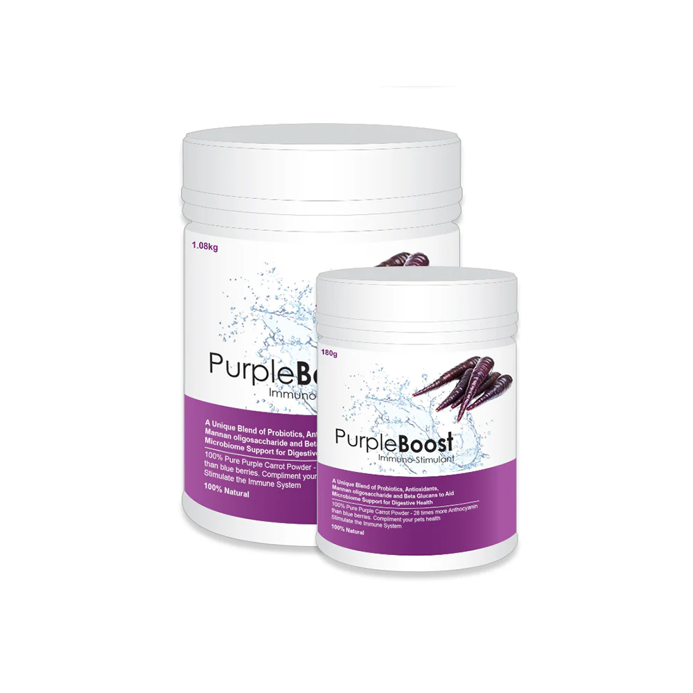 LIFEWISE Purple Boost Immuno-Stimulant with Probiotics and Antioxidants