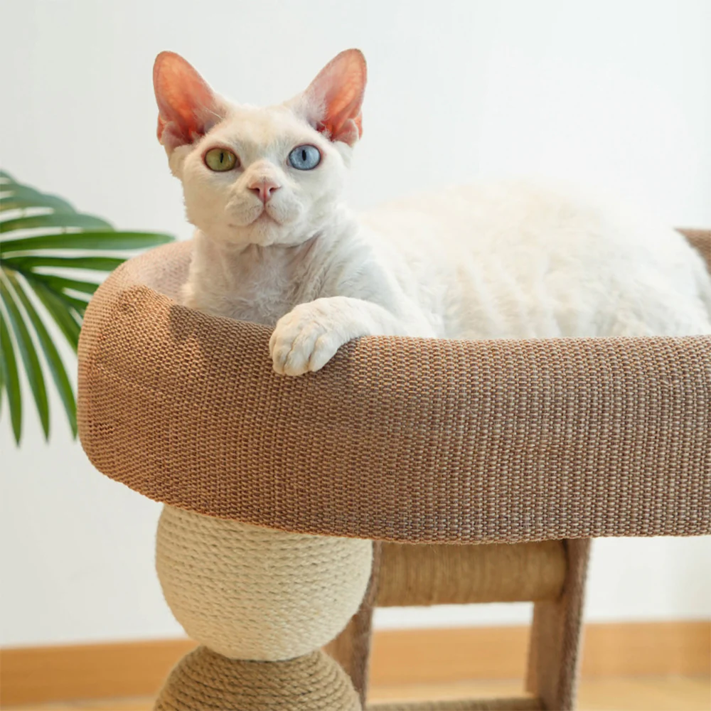 Low Cat Tree with Raised Bed & Sisal Scratching Posts – Step Design - Image 5