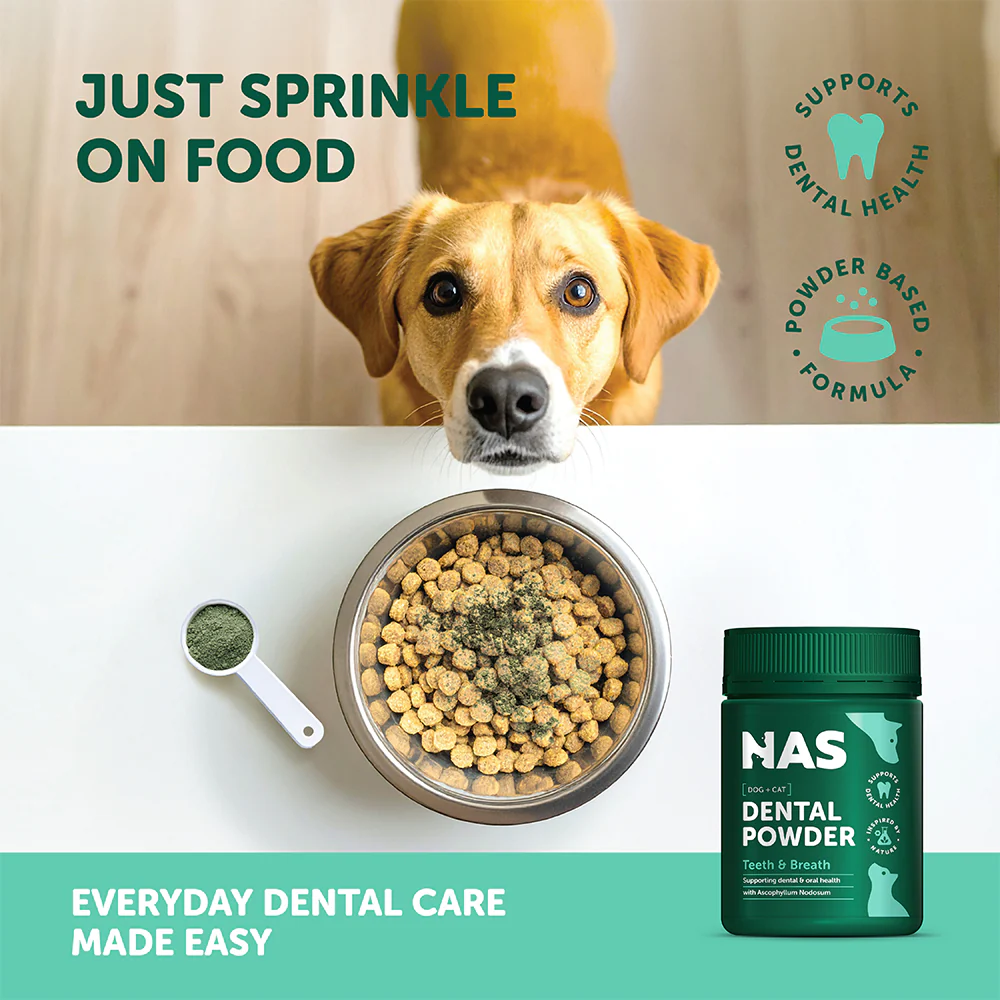NAS NATURAL ANIMAL SOLUTIONS Dental Powder For Dogs & Cats - Image 4