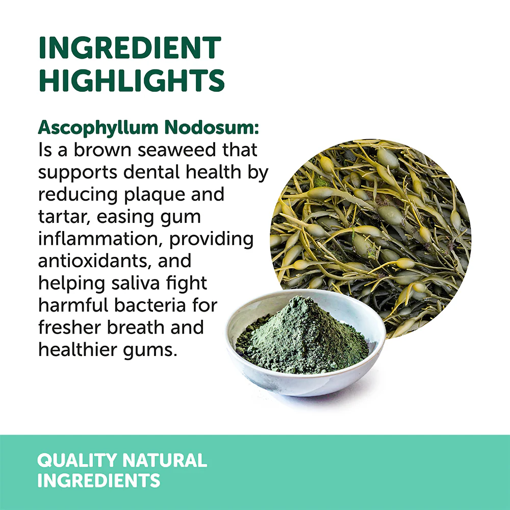 NAS NATURAL ANIMAL SOLUTIONS Dental Powder For Dogs & Cats - Image 6