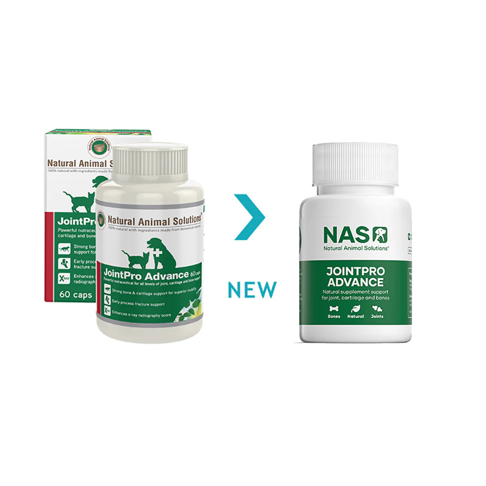 NAS NATURAL ANIMAL SOLUTION Jointpro Advance Pet Mobility Supplement 60caps - Image 2