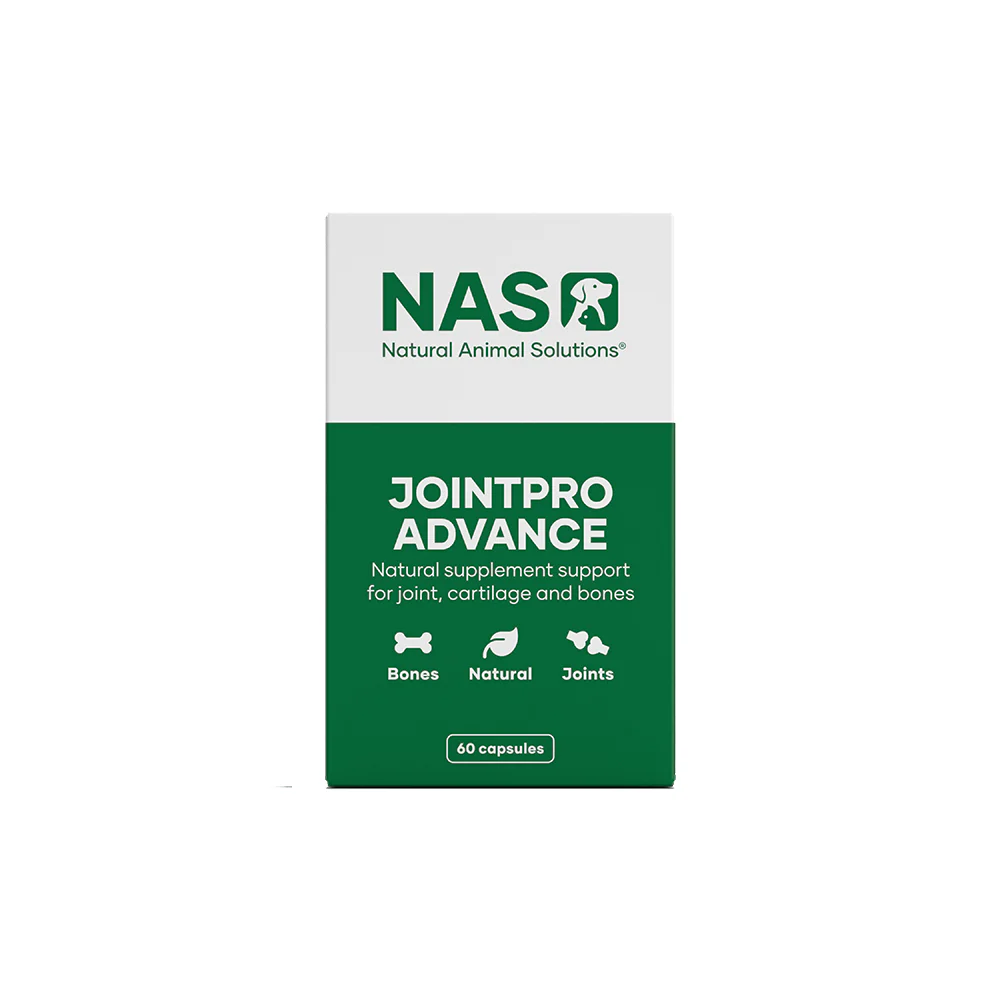 NAS NATURAL ANIMAL SOLUTION Jointpro Advance Pet Mobility Supplement 60caps - Image 7