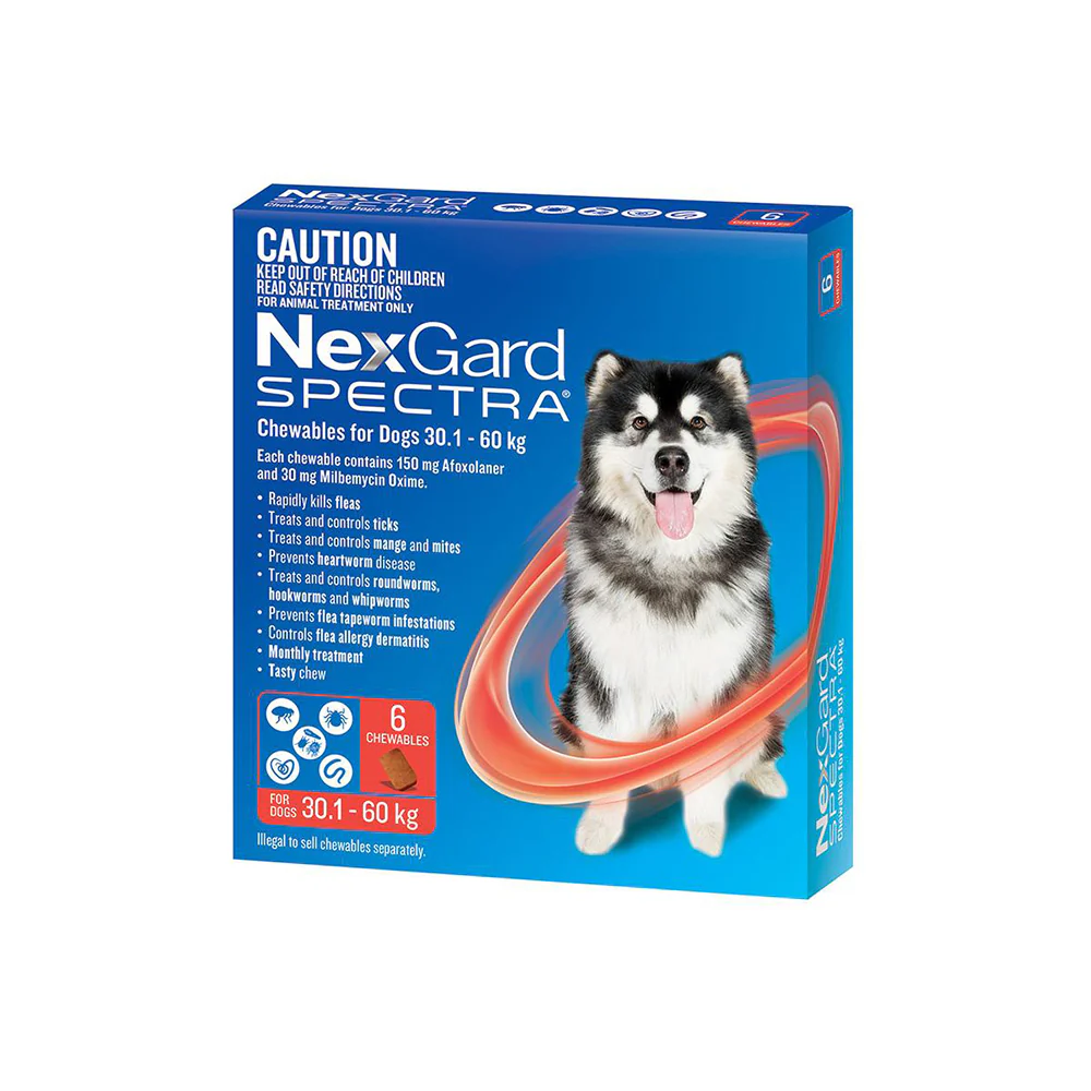 NEXGARD SPECTRA Flea, Tick & Worming Chews For Dogs 30.1-60kg 6pcs