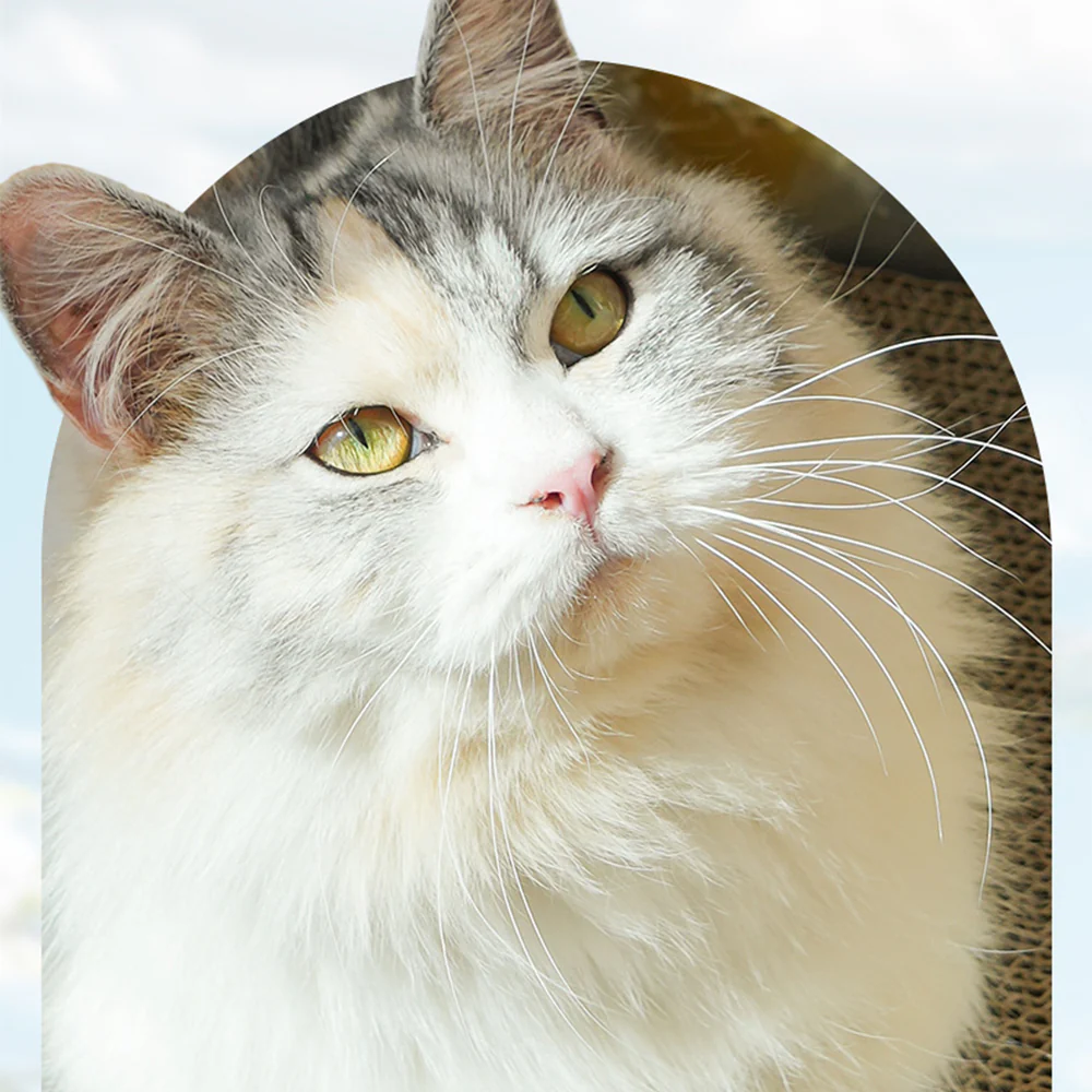 Oil Painting Cat Scratcher Bed - Image 13