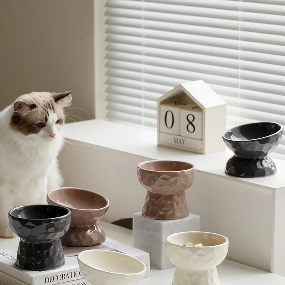 One-Piece Ceramic Pet Slanted High Bowl - 200ml - Image 12