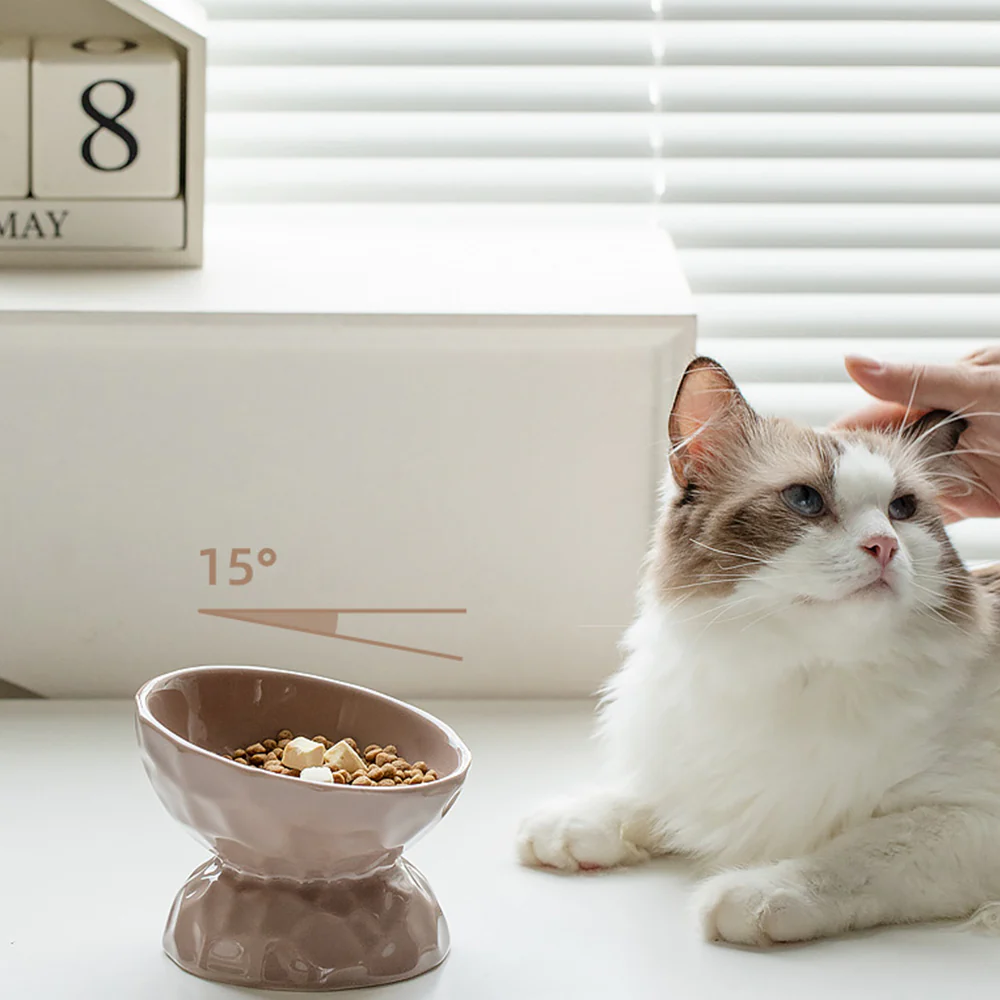 One-Piece Ceramic Pet Slanted High Bowl - 200ml - Image 5