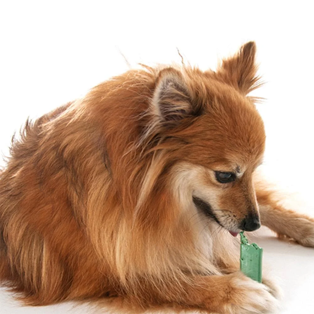 ORAVET Dog Dental Hygiene Chews (4.5-11kg) 560g - Image 4