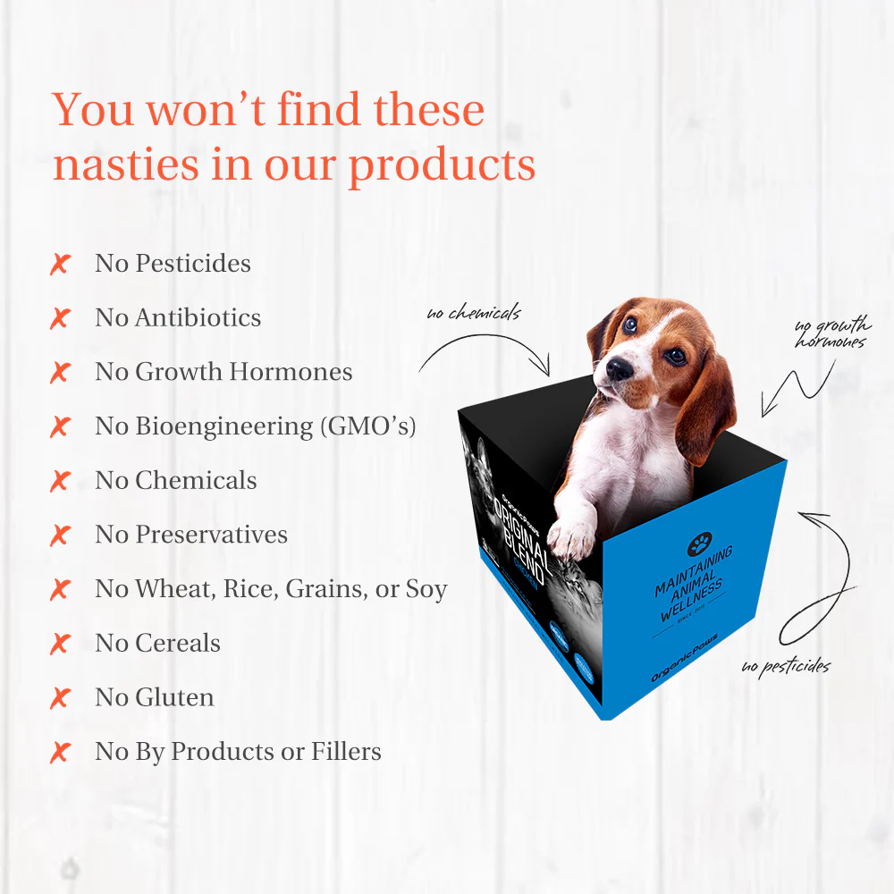 ORGANIC PAWS Chicken Rumps Raw Pet Food 1kg - Image 2