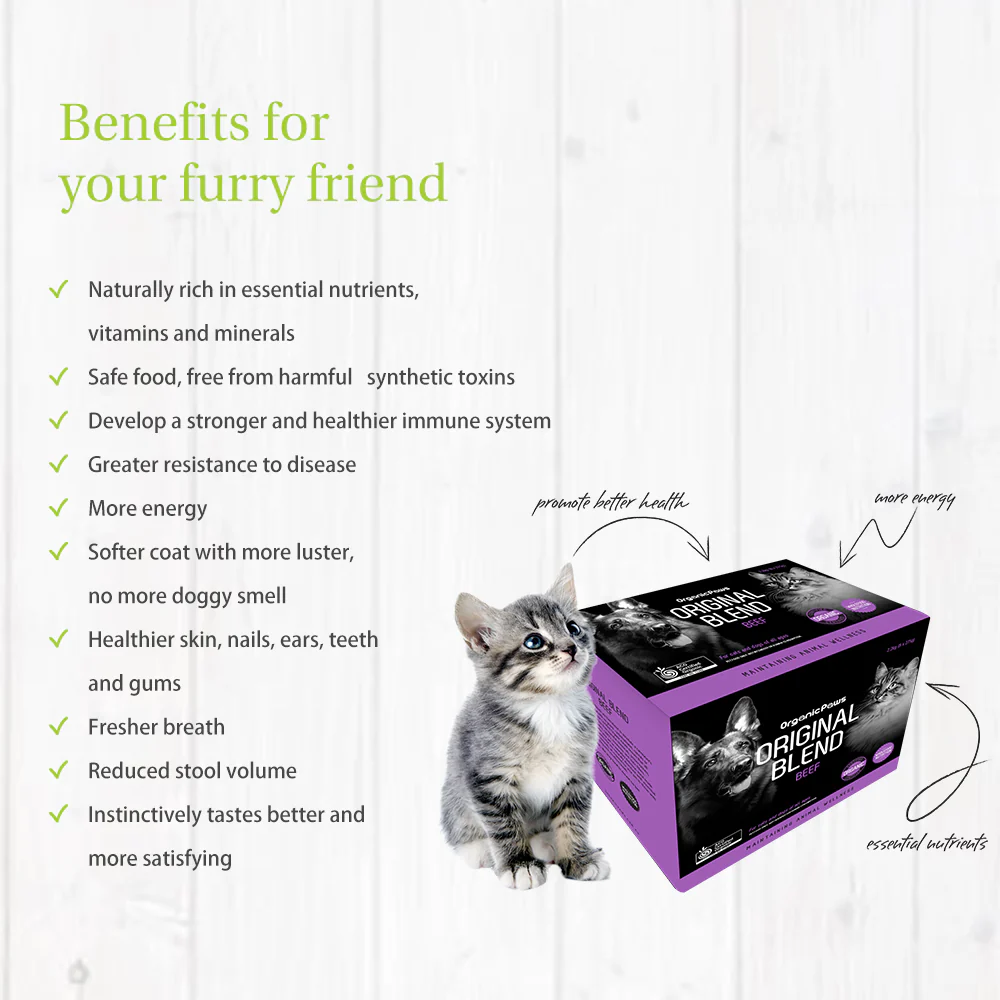 ORGANIC PAWS Original Blend Beef Raw Pet Food 2.2kg - Image 3